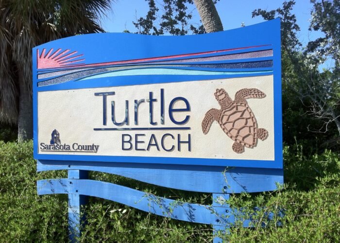 turtle-beach6